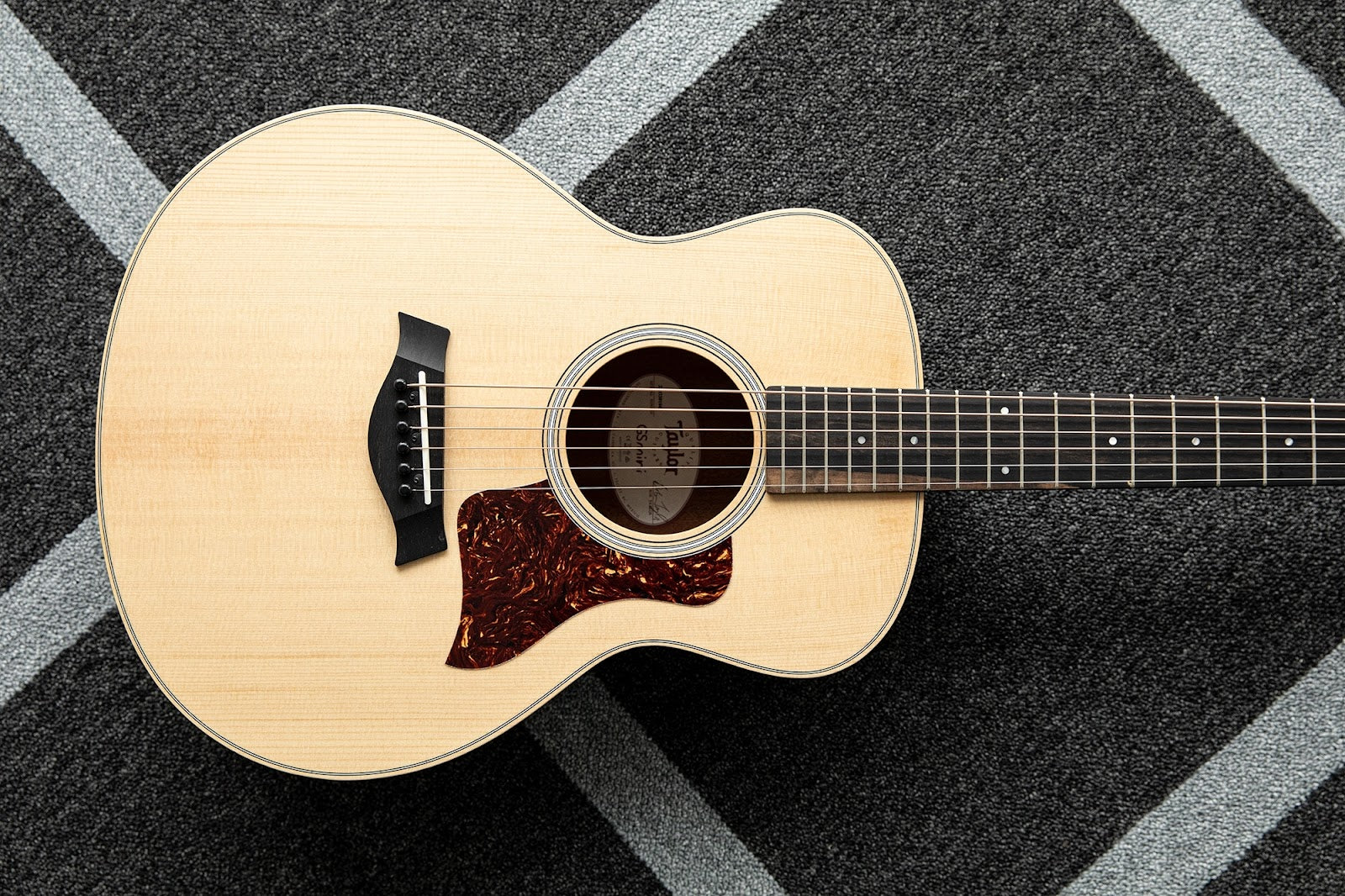 Martin vs Taylor: Is a Taylor Better Than a Martin?