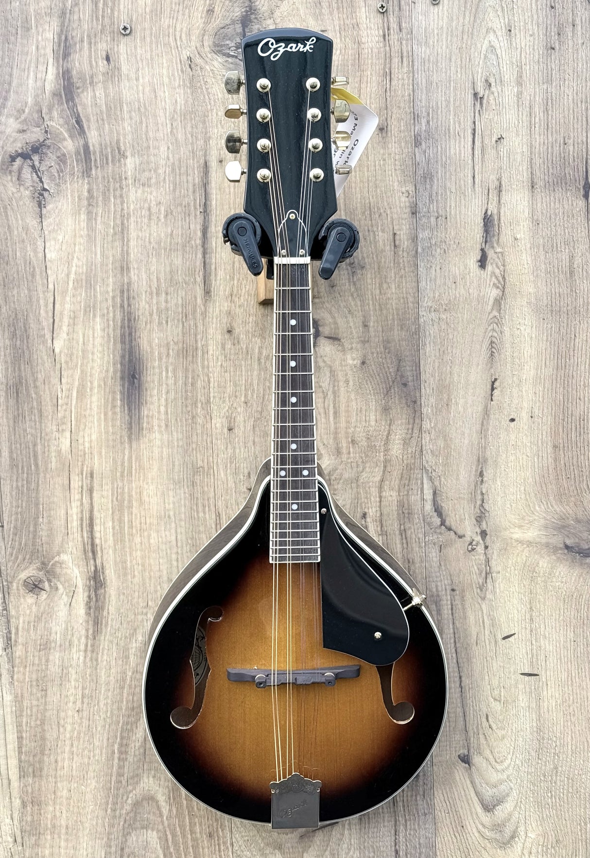 Ozark 2073 A Style Mandolin with Bag