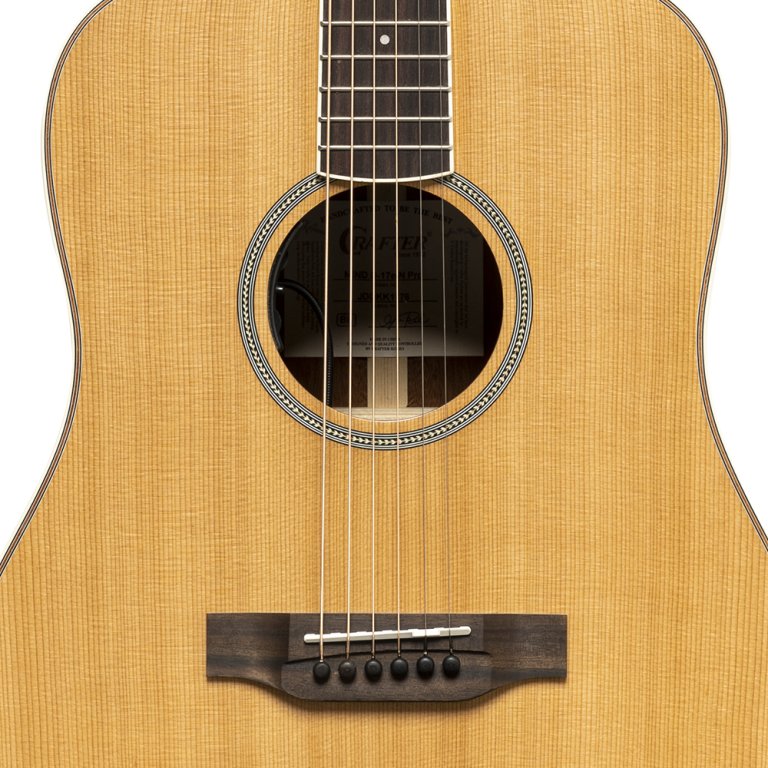 Crafter Mind D17E Dreadnought Electro-Acoustic Cedar / Mahogany
