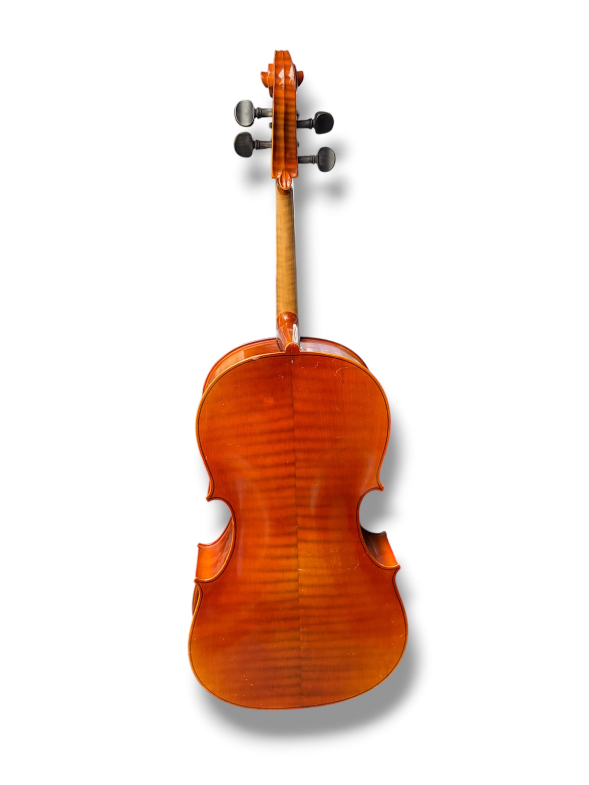 Cello Outfit 4/4
