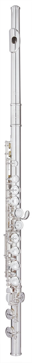 Trevor James  Virtuoso Flute Outfit - Straight Head - Traditional Lip