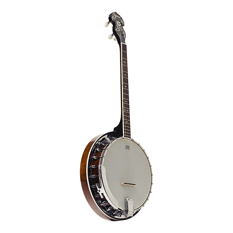 Ozark tenor electric banjo