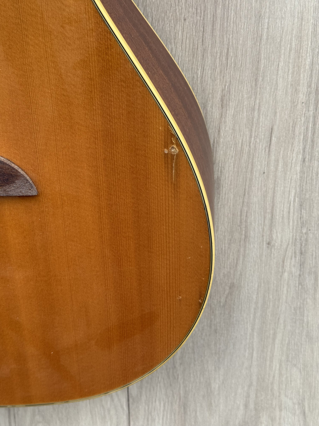 Alvarez AG60CE Artist Series Grand Auditorum