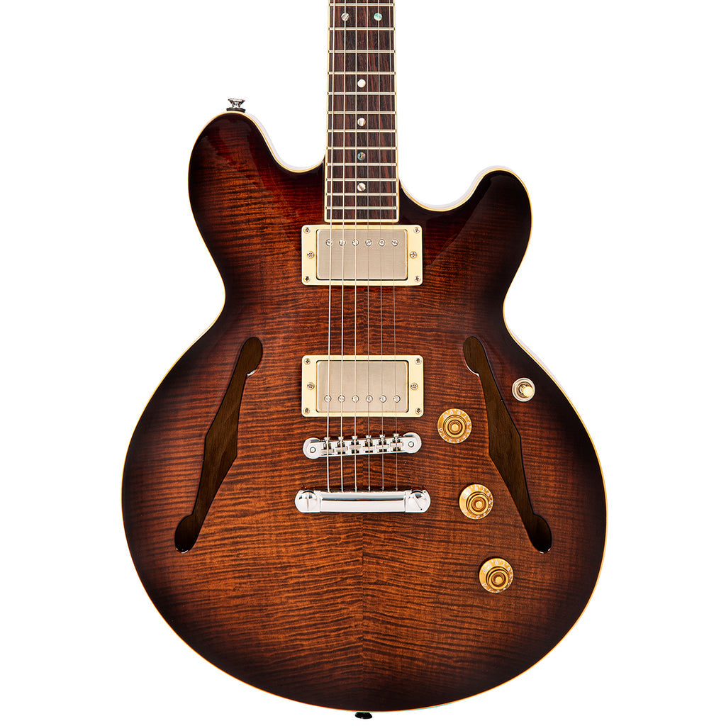 Fret-king Elise Custom ~ Walnut