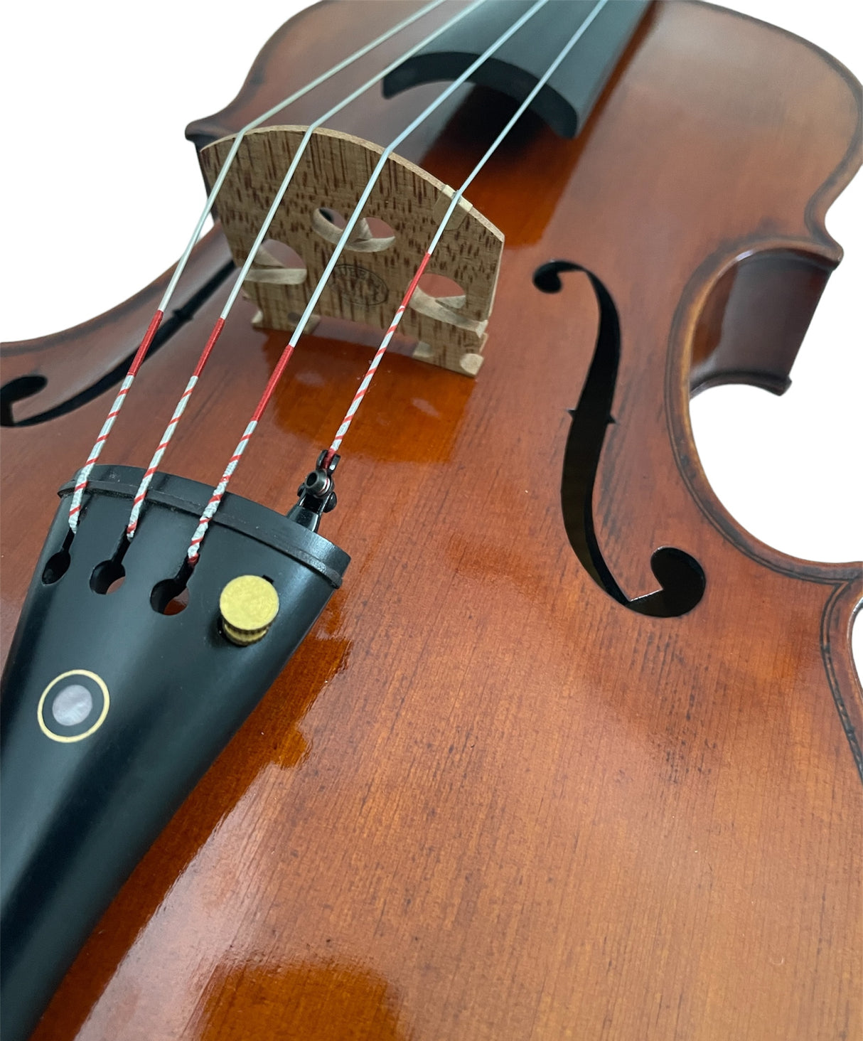 Hidersine Espressione Viola 15.5" Outfit - Stradivari