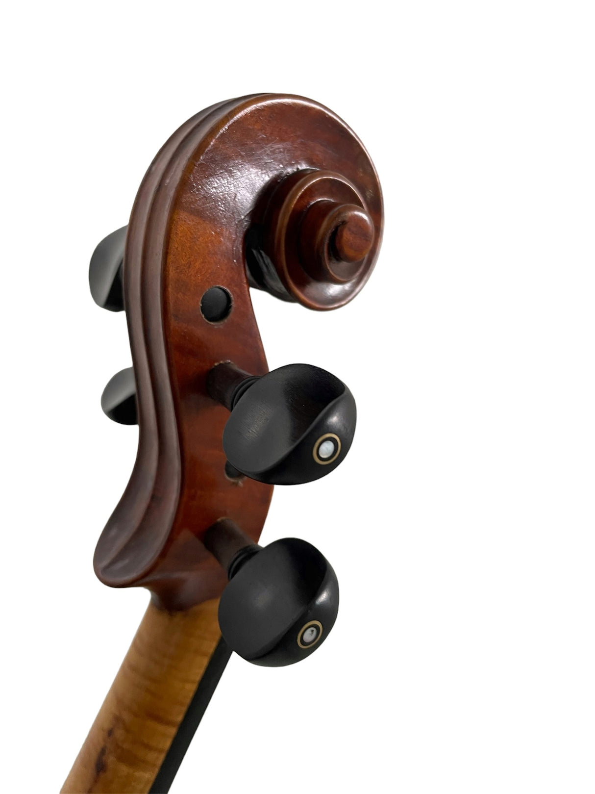 Hidersine Espressione Viola 15.5" Outfit - Stradivari