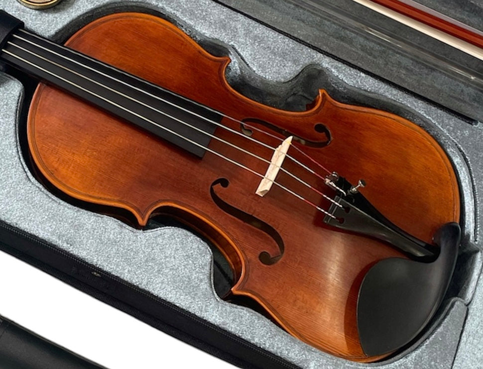 Stentor Violin Arcadia 4/4 Outfit