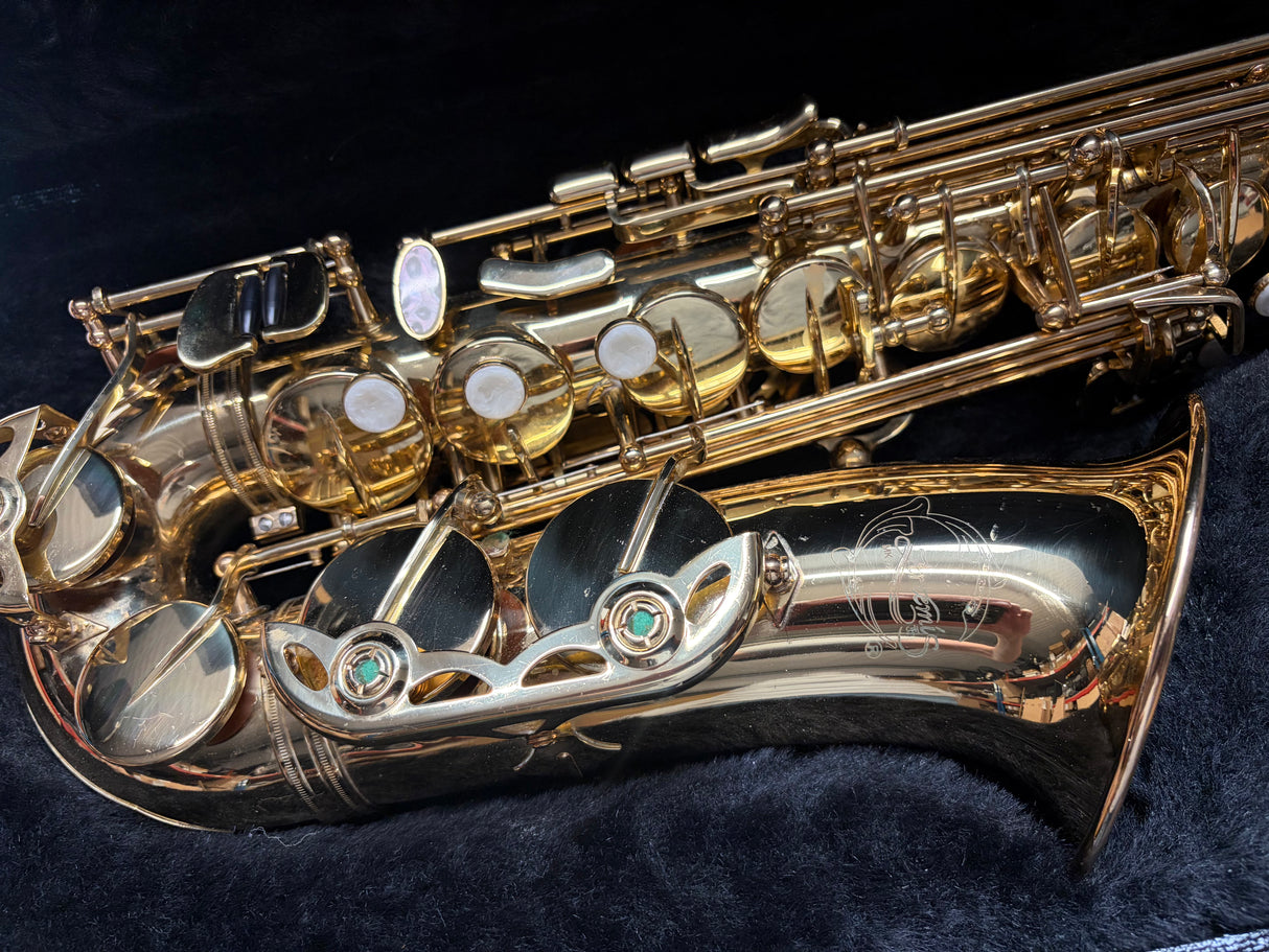 Artemis Alto Saxophone Outfit