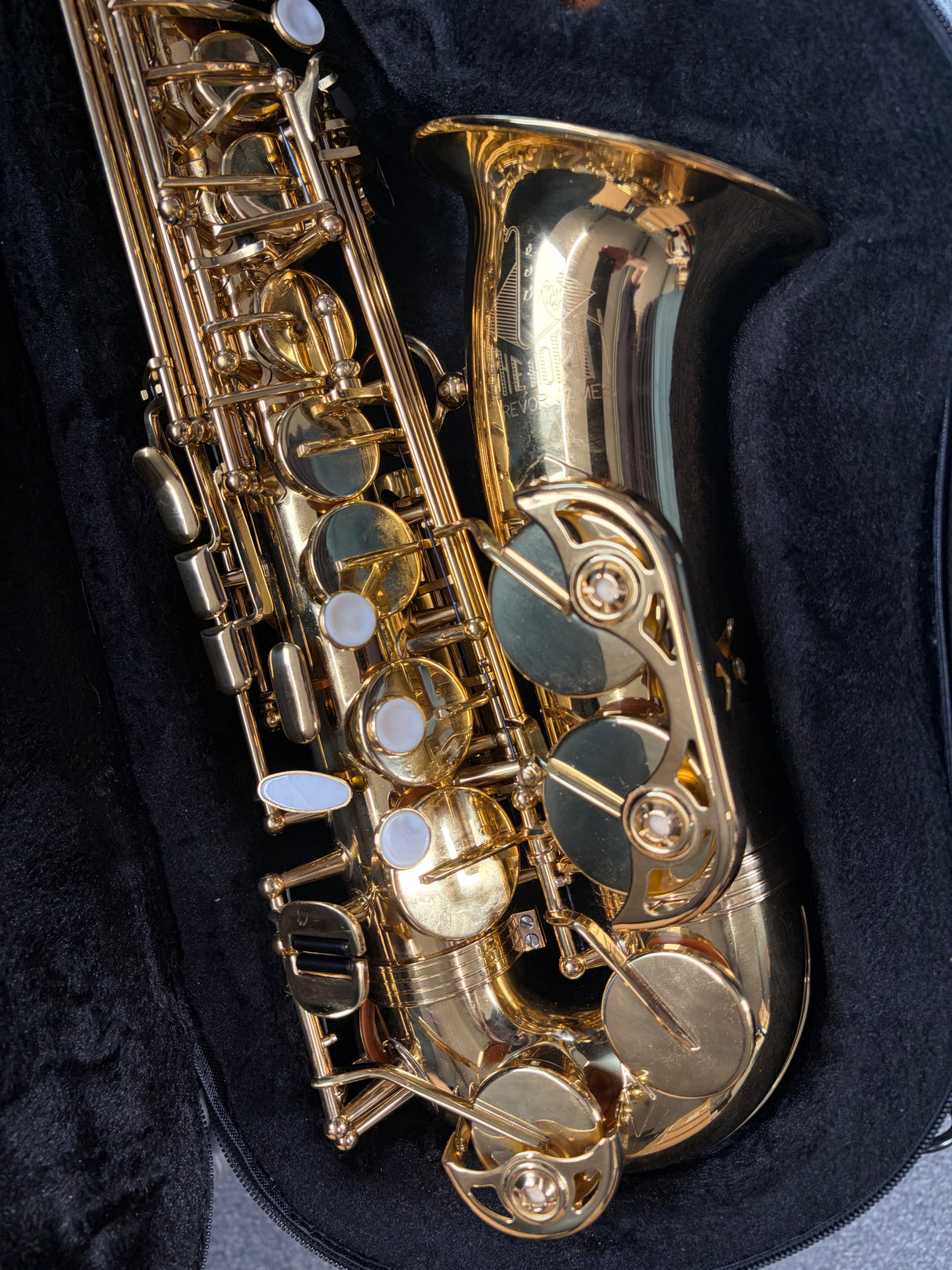 Trevor James The Horn Classic II Alto Sax Outfit - Gold Lacquer