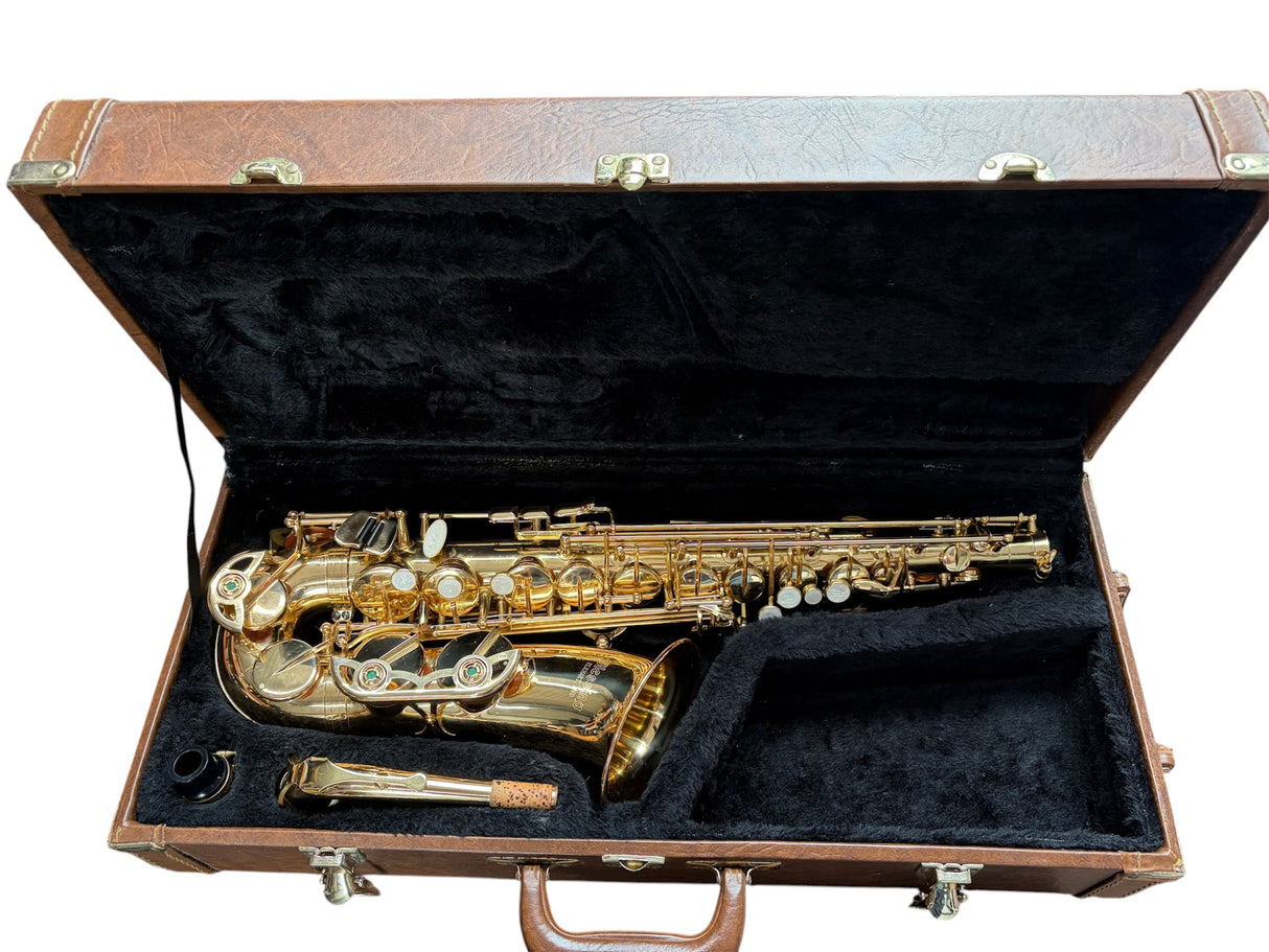 Blessing Alto Saxophone Outfit
