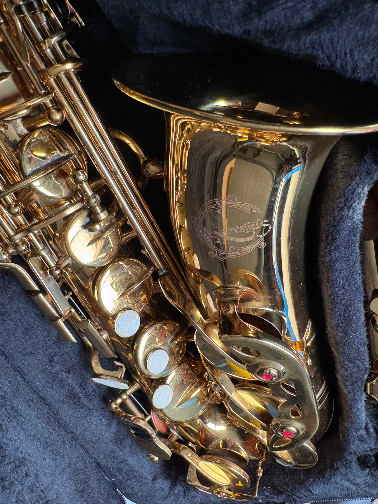 Artemis Alto saxophone outfit