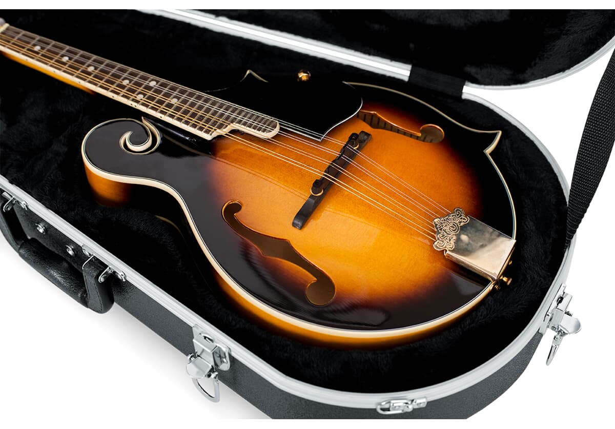 Gator GC-MANDOLIN Mandolin Case