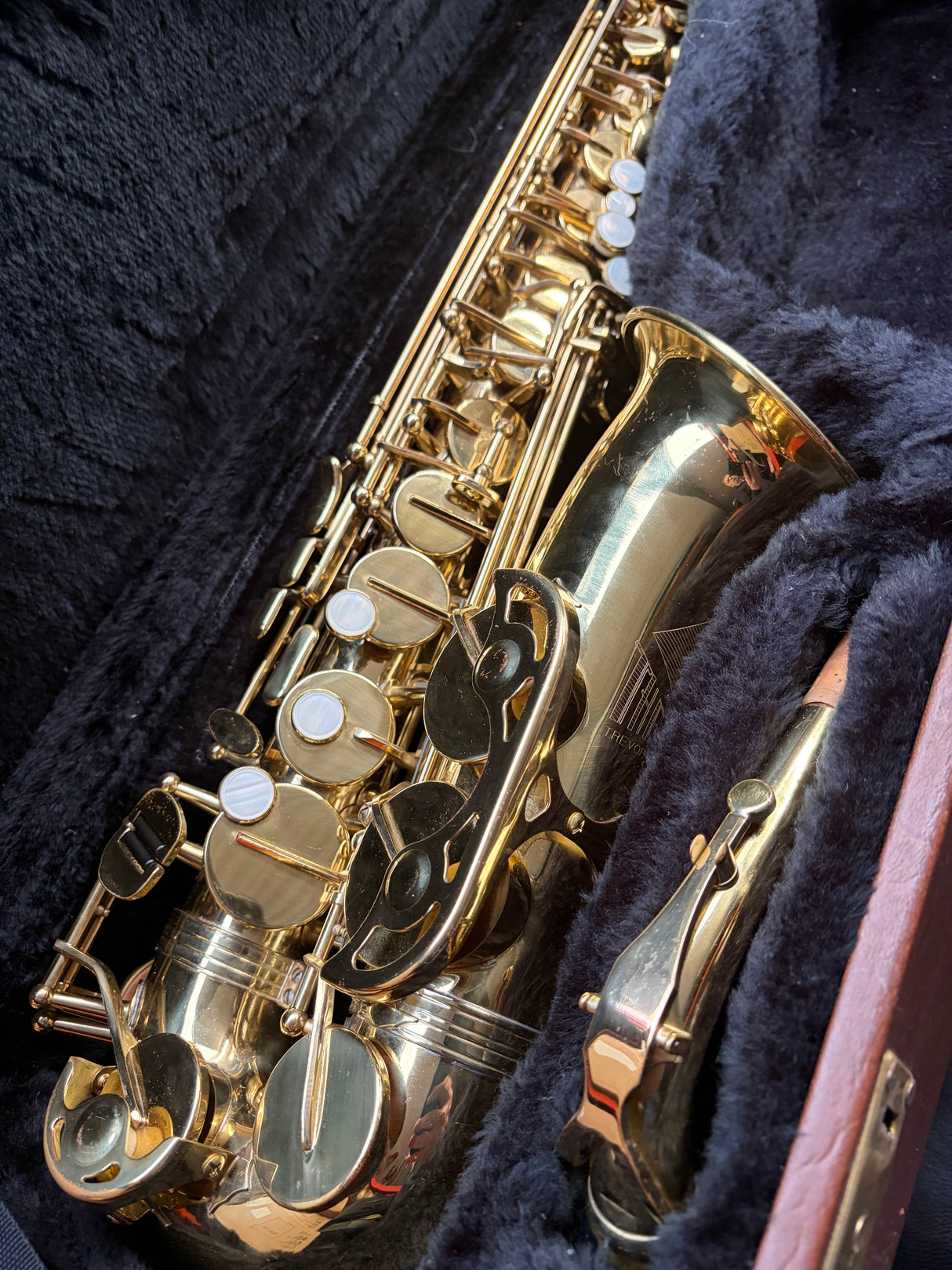 Trevor James The Horn Alto Saxophone
