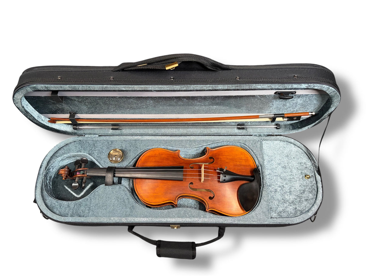 Stentor Violin Messina 4/4 Full Outfit with Brazilwood Bow
