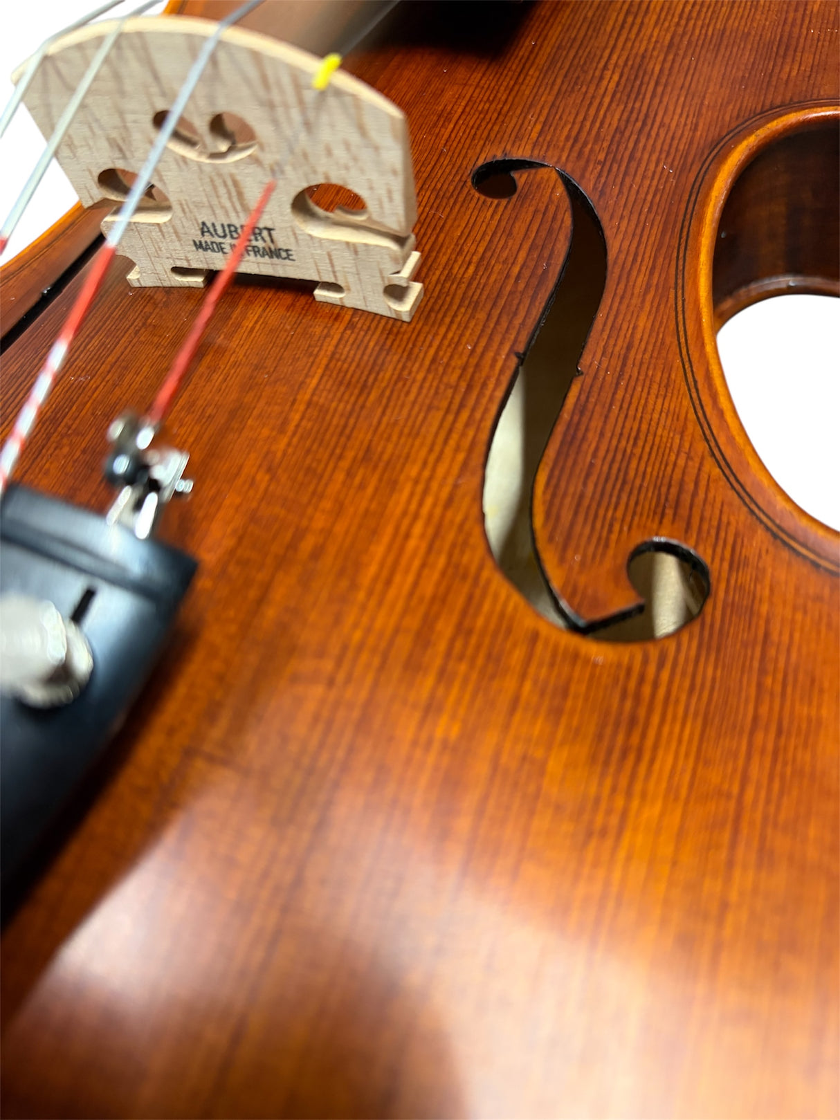 Stentor Violin Messina 4/4 Full Outfit with Brazilwood Bow