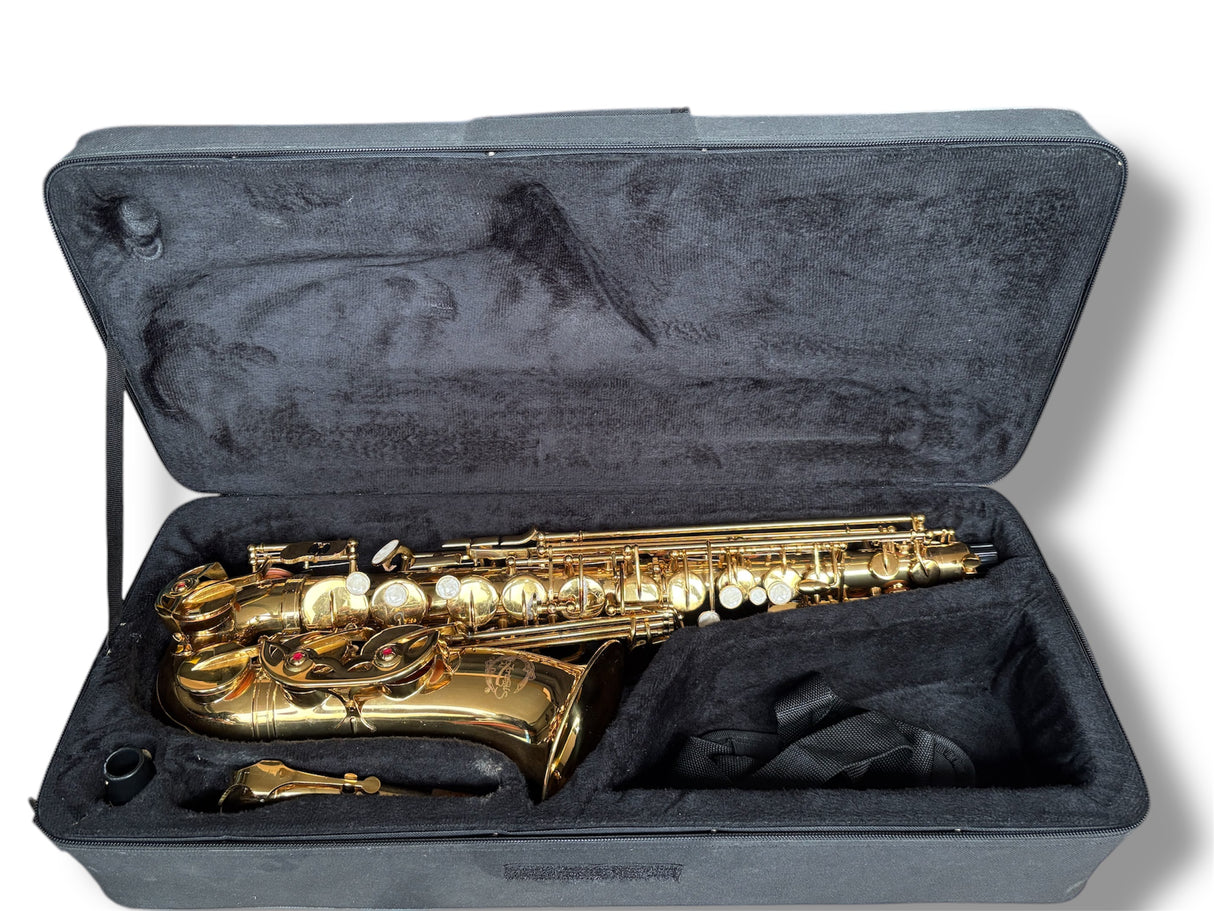 Artemis Alto saxophone outfit