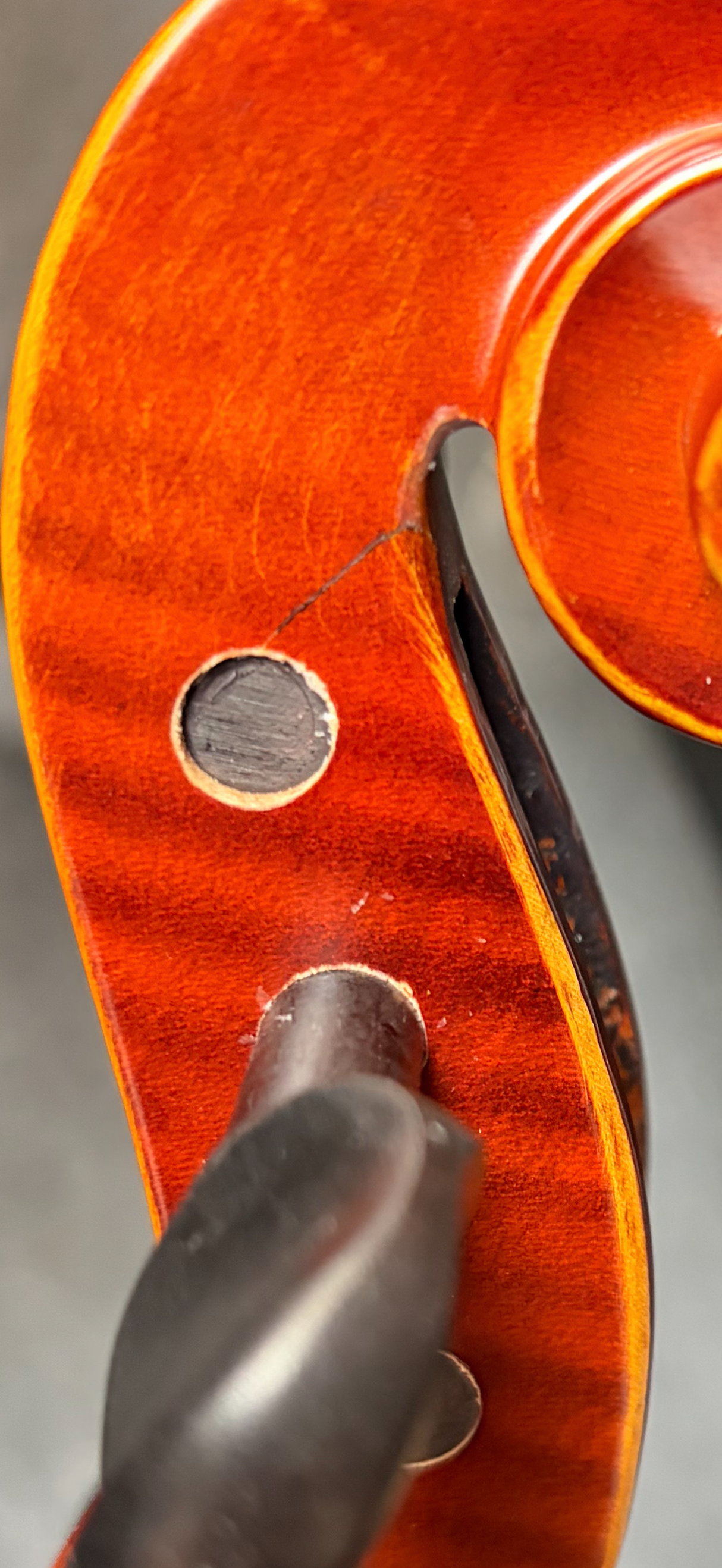 Hidersine Viola Vivente 16 inch Outfit B Stock