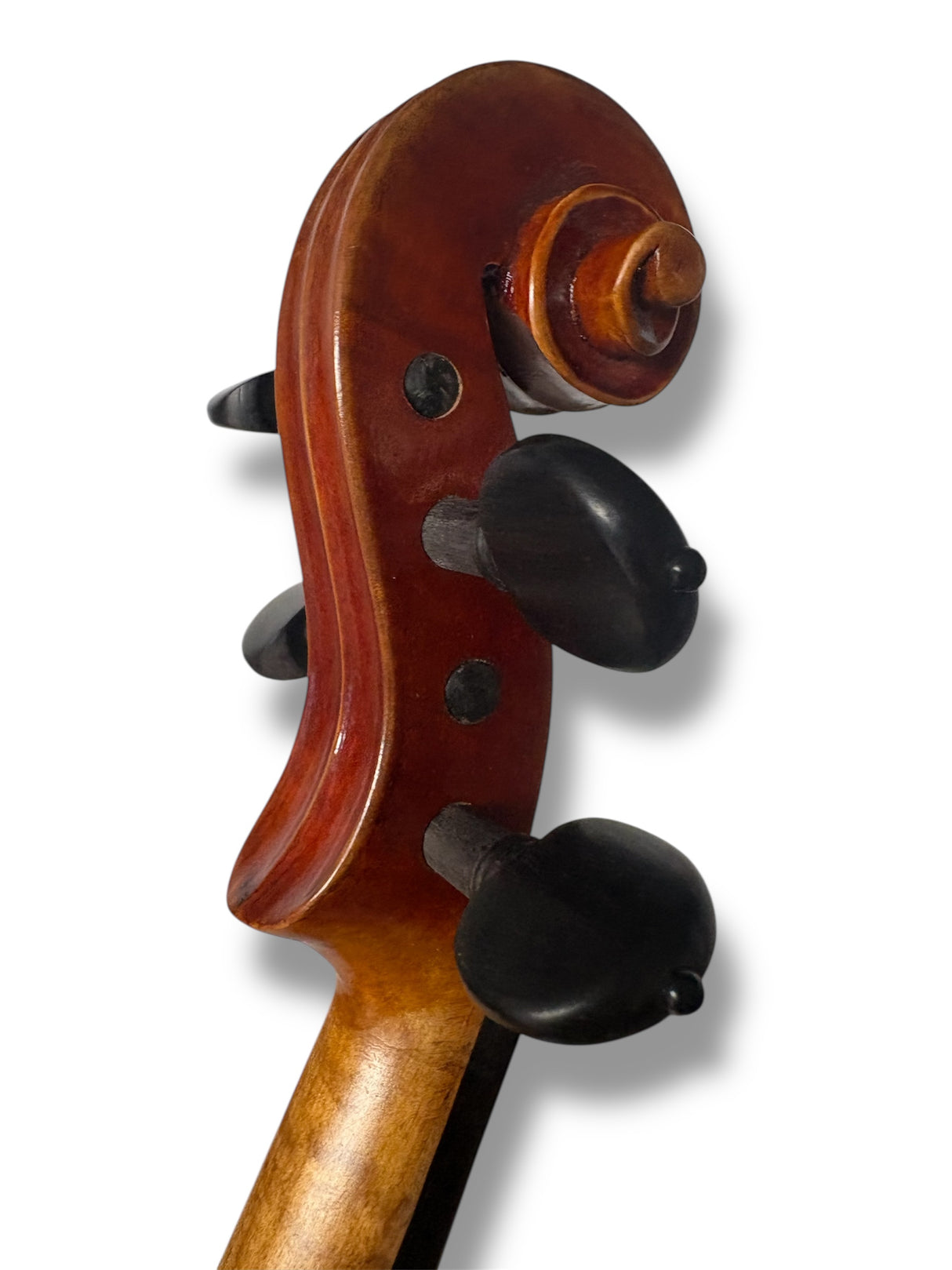 Stentor Master Violin 4/4 Antiqued