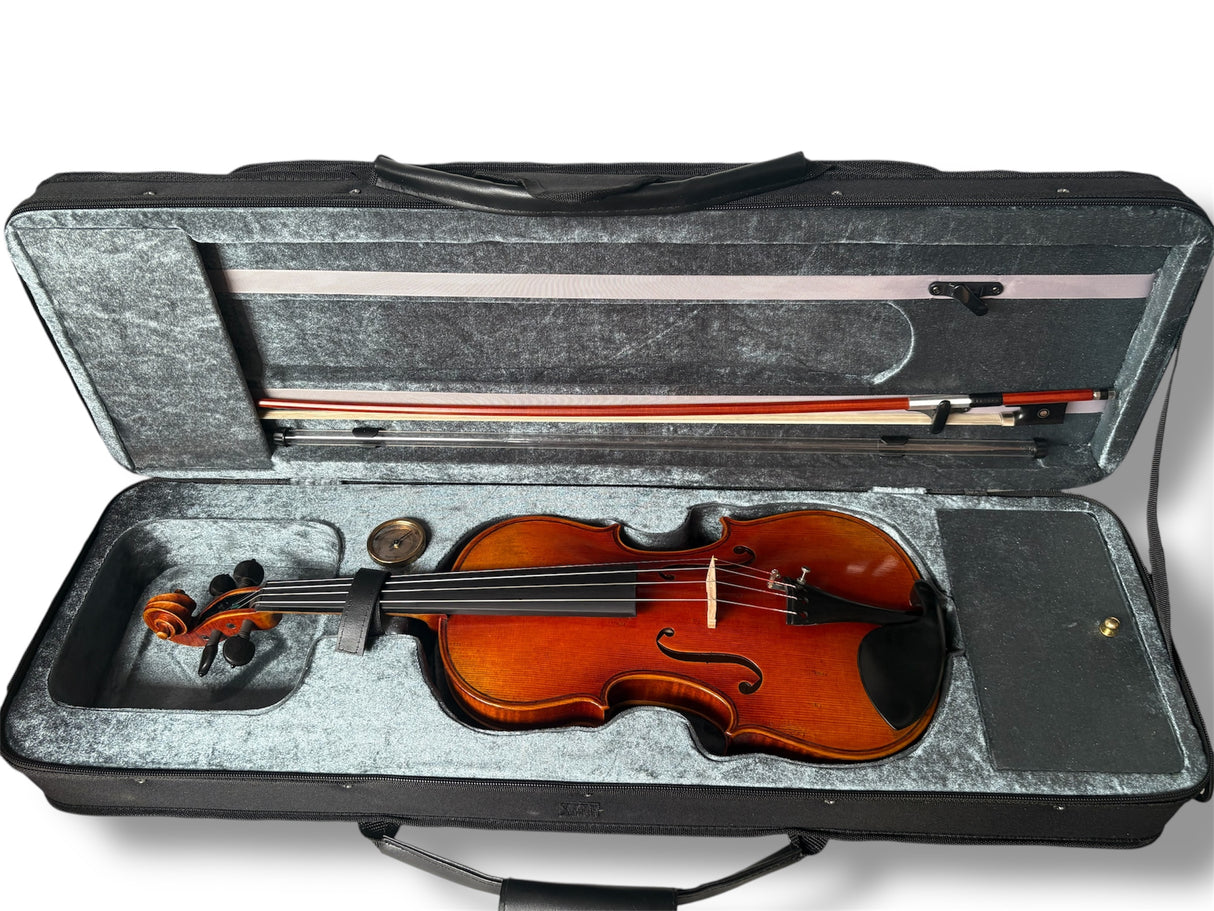 Stentor Master Violin 4/4 Antiqued Full Outfit