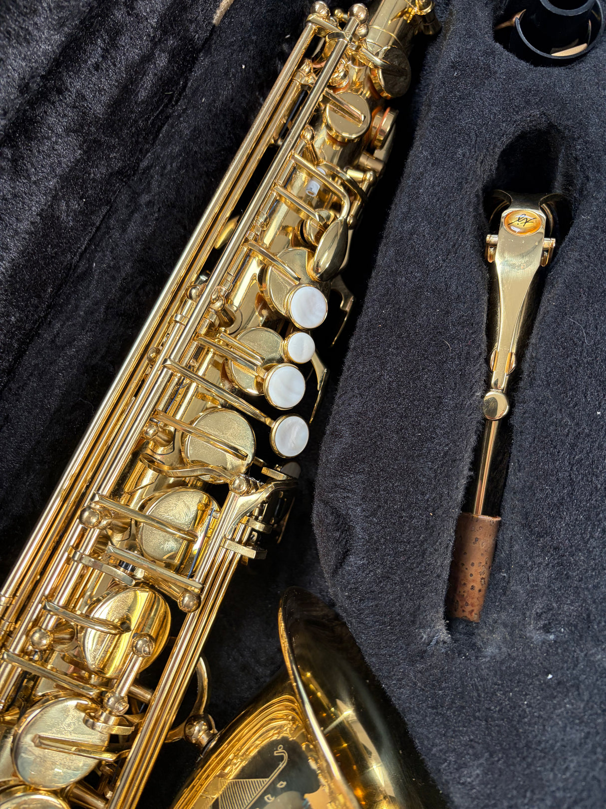 Trevor James The Horn Classic II Alto Sax Outfit - Gold Lacquer