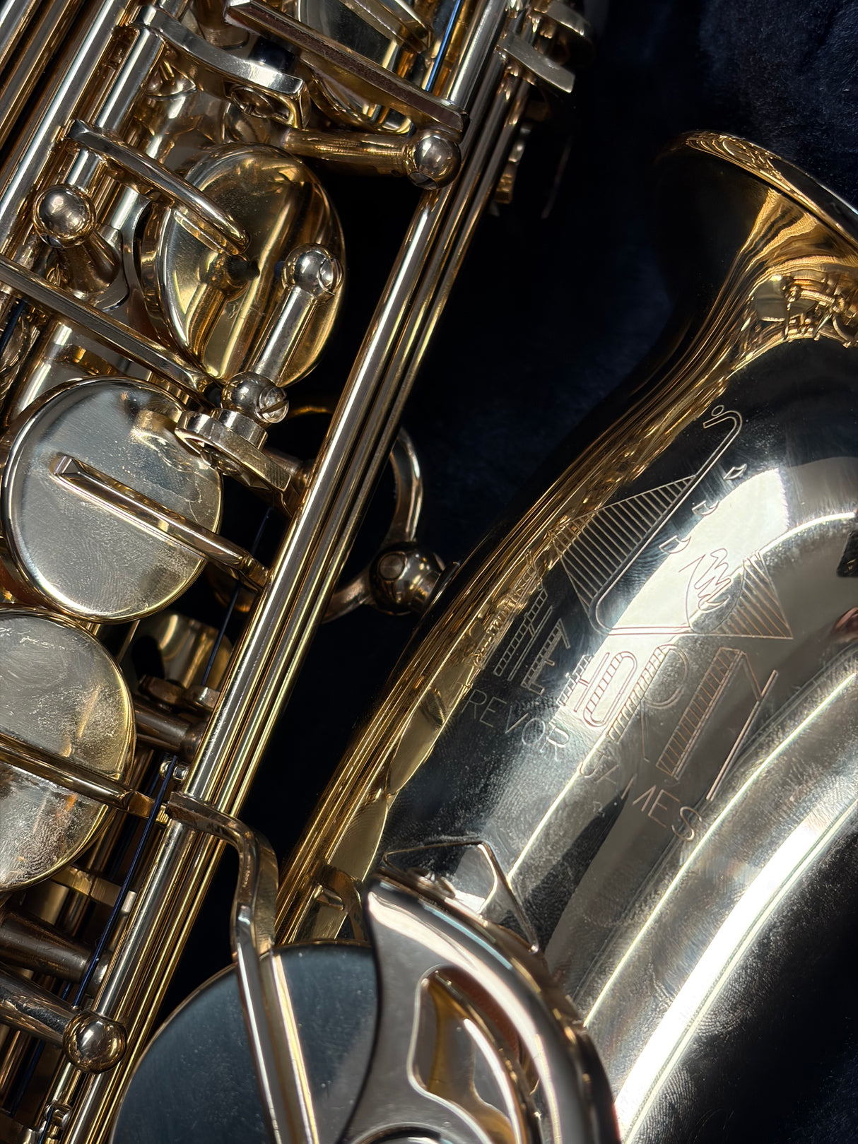 Trevor James The Horn Classic II Alto Sax Outfit - Gold Lacquer