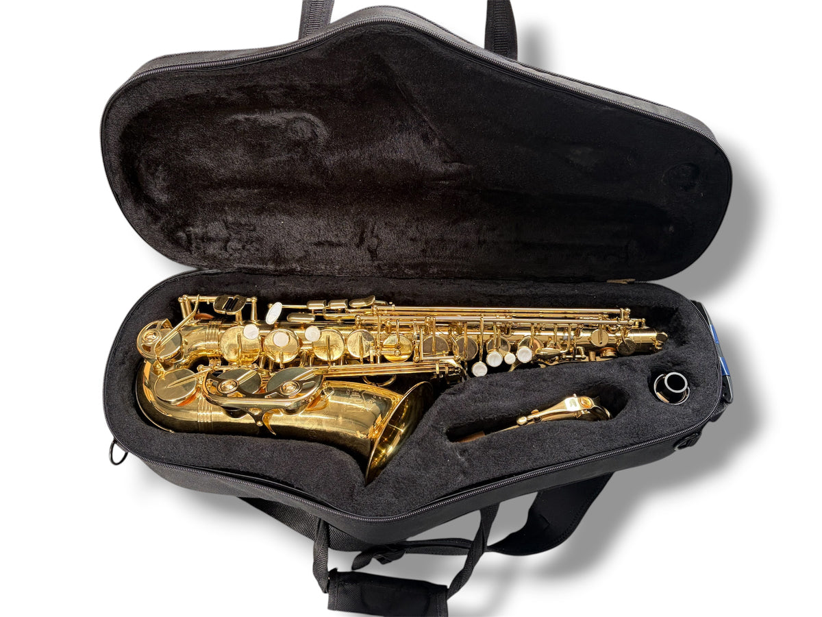Trevor James The Horn Classic II Alto Sax Outfit - Gold Lacquer