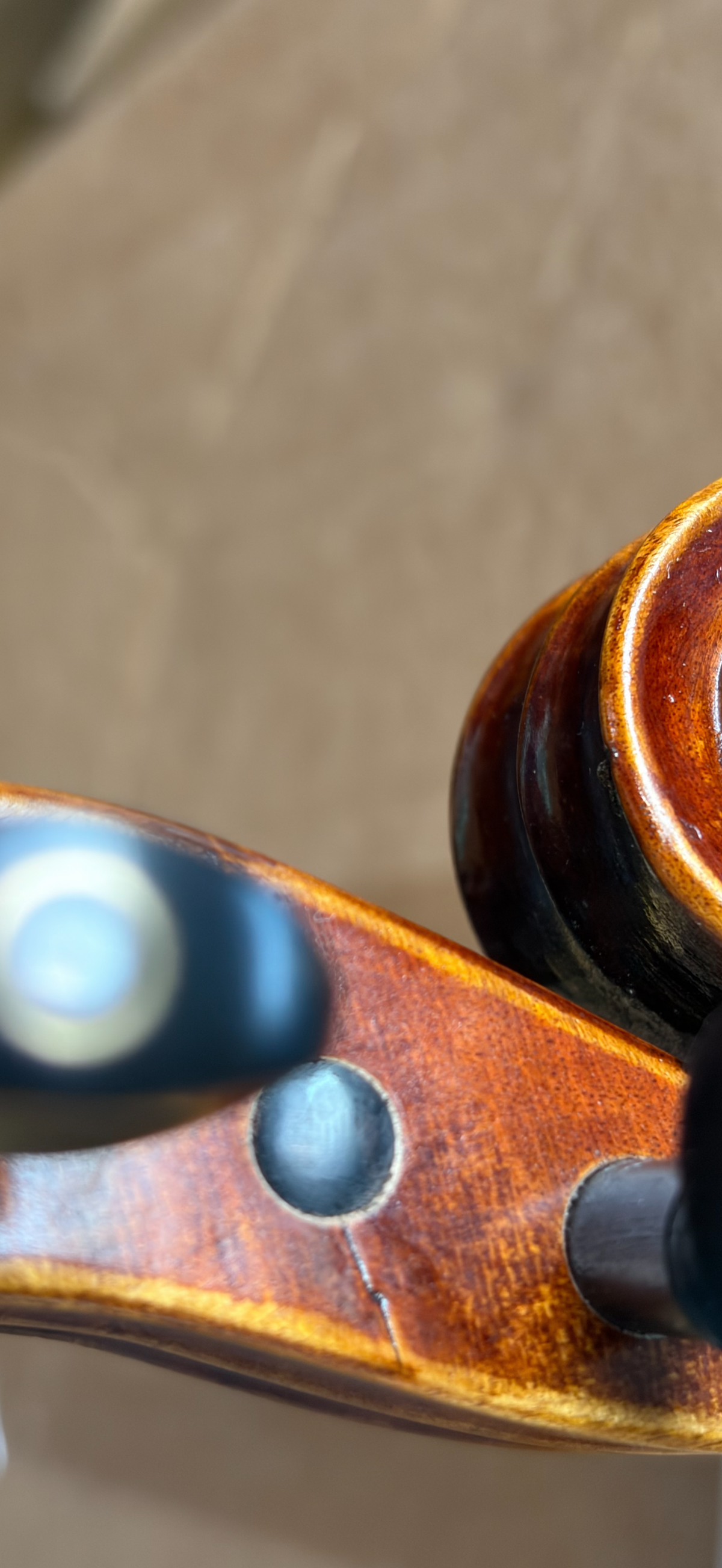 Hidersine Veracini Violin Outfit 4/4