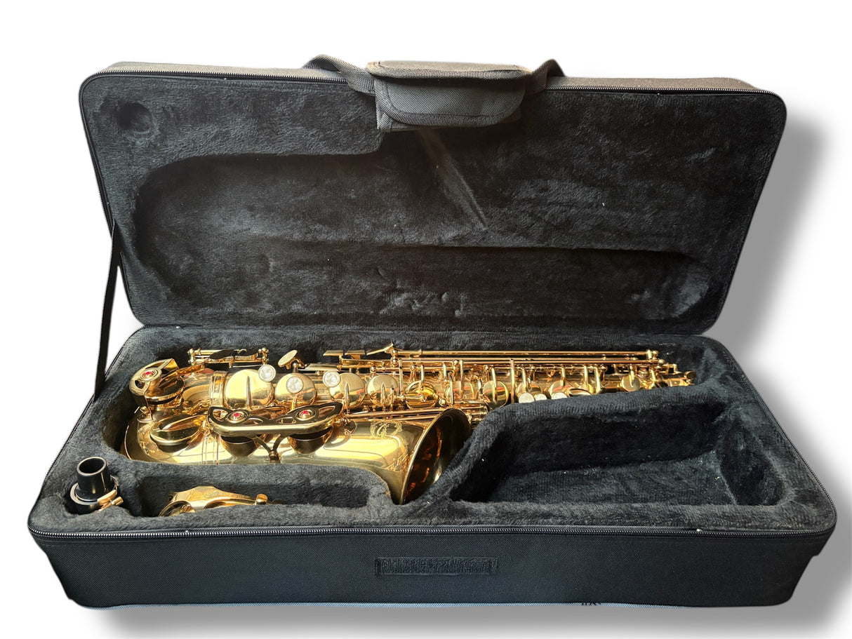 Artemis Alto Saxophone Outfit