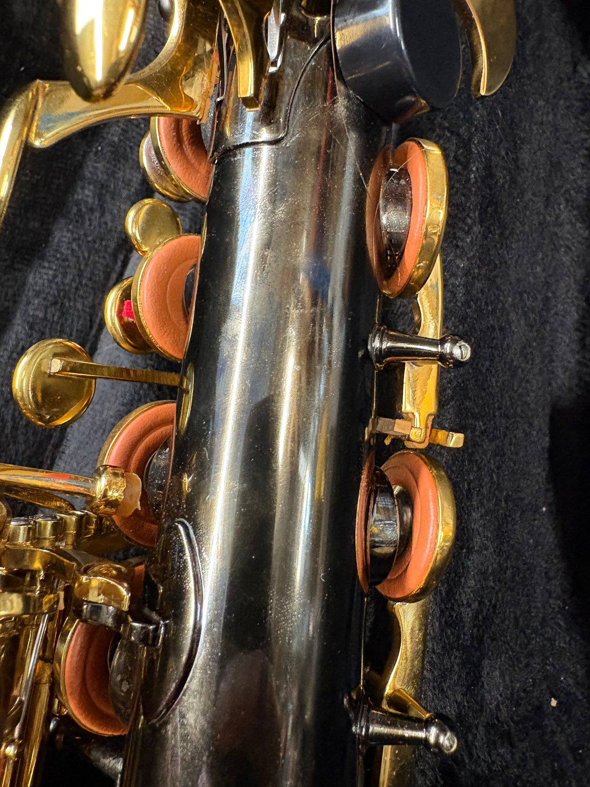 Artemis Alto Saxophone Outfit Black & Gold finish