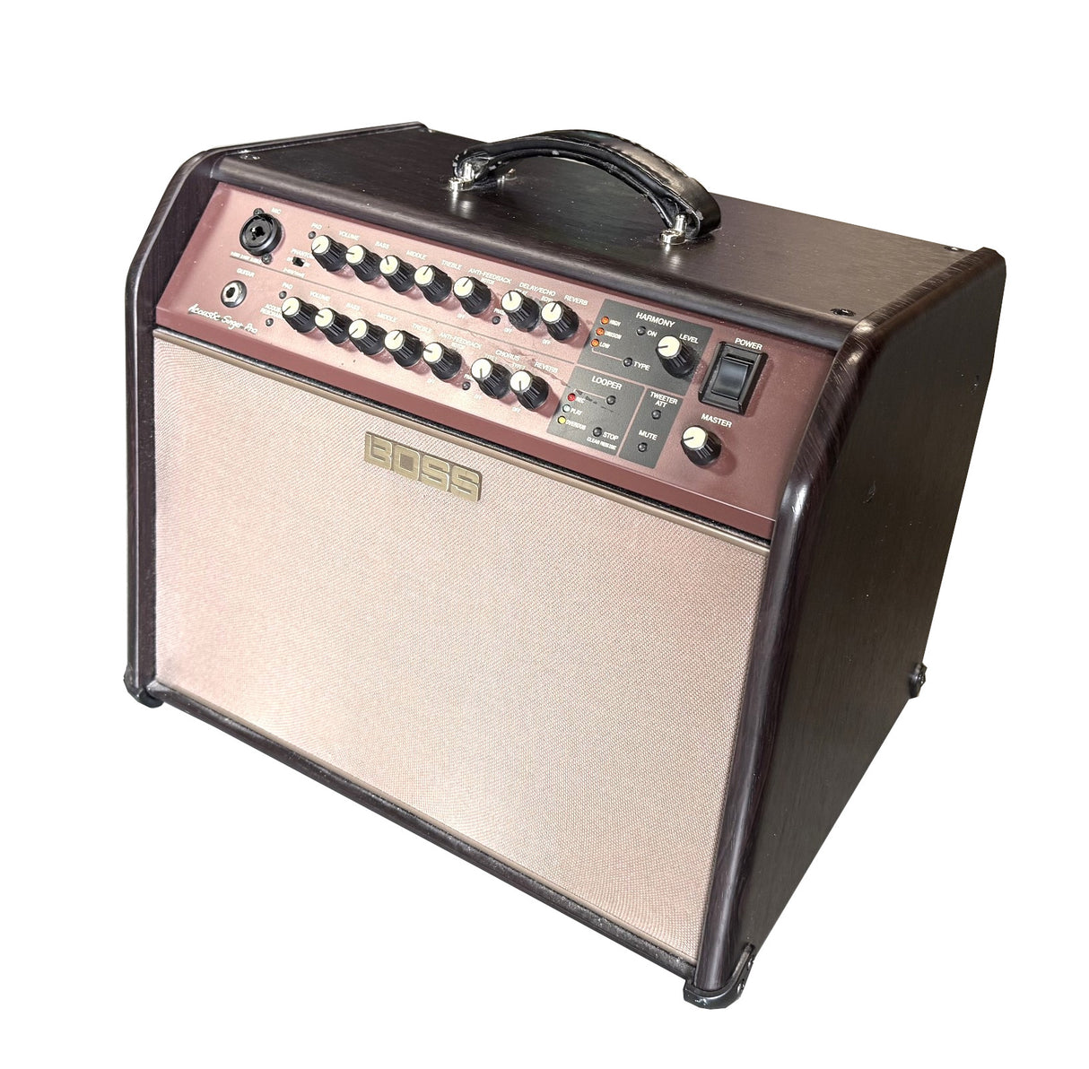 Boss Acoustic Singer Pro