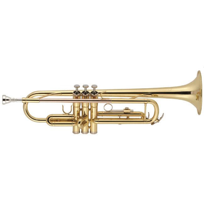 J Michael Bb Professional Trumpet Outfit