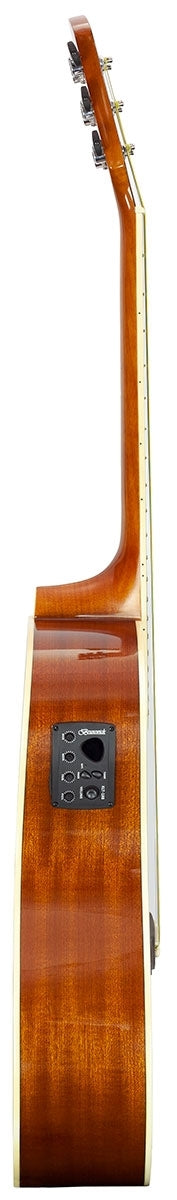 Brunswick Dreadnought Cut Electro Natural