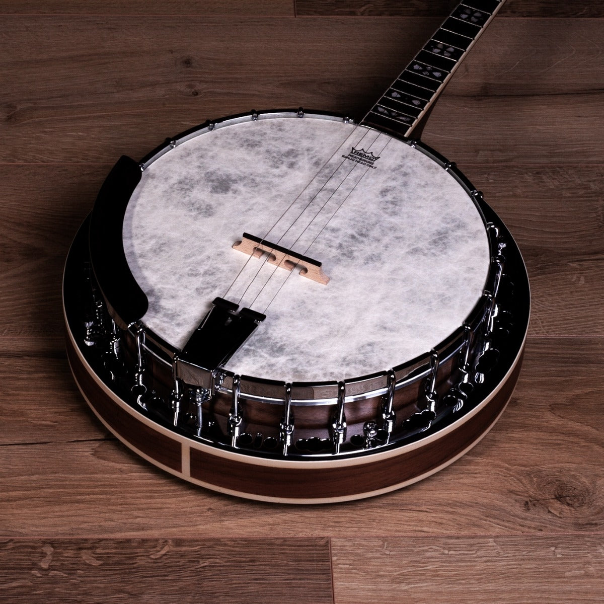 Barnes And Mullins Banjo Empress Irish/gaelic 4 String