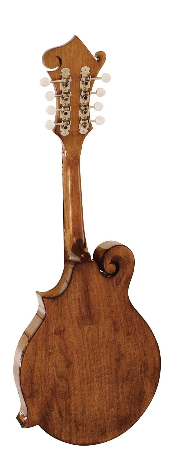 Barnes And Mullins Mandolin - Salvino Model