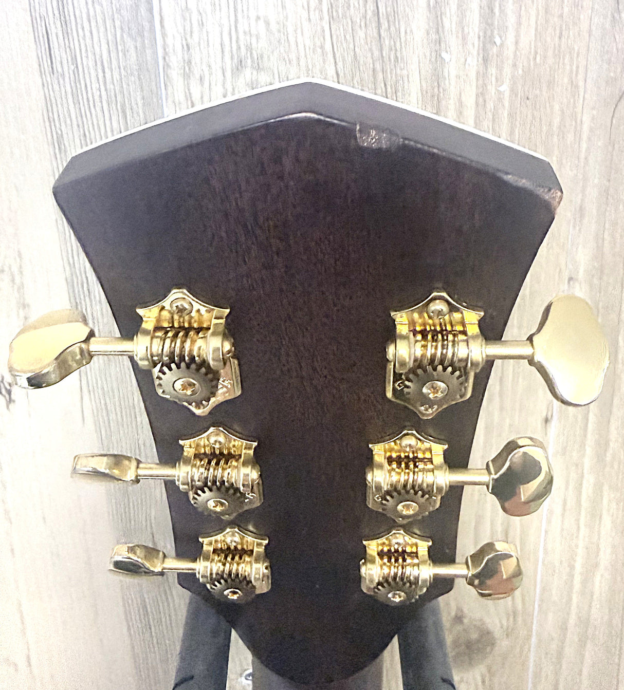 Cort Gold A8 Grand Auditorium Light Burst 2025