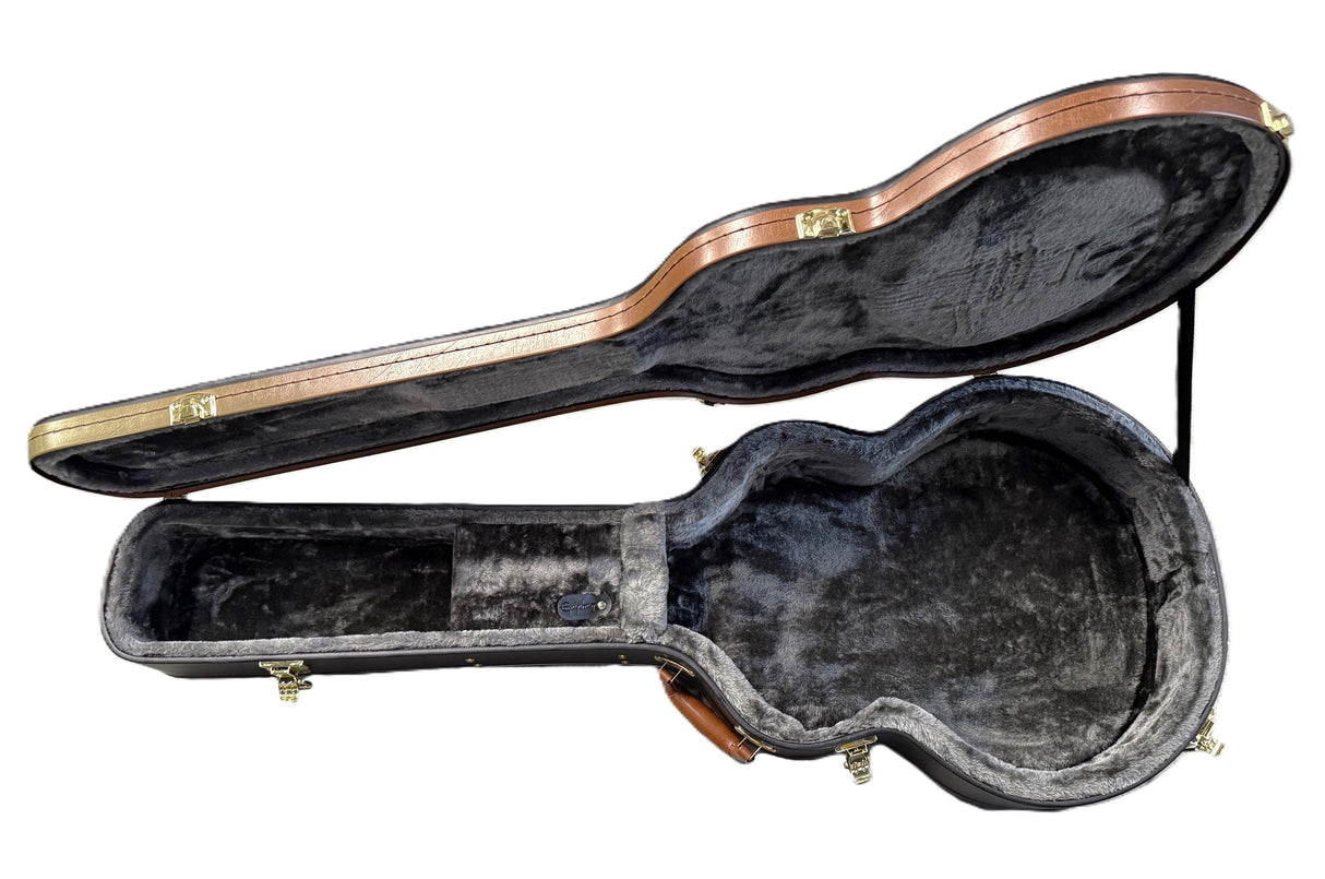 Epiphone Jumbo Acoustic Hard Case