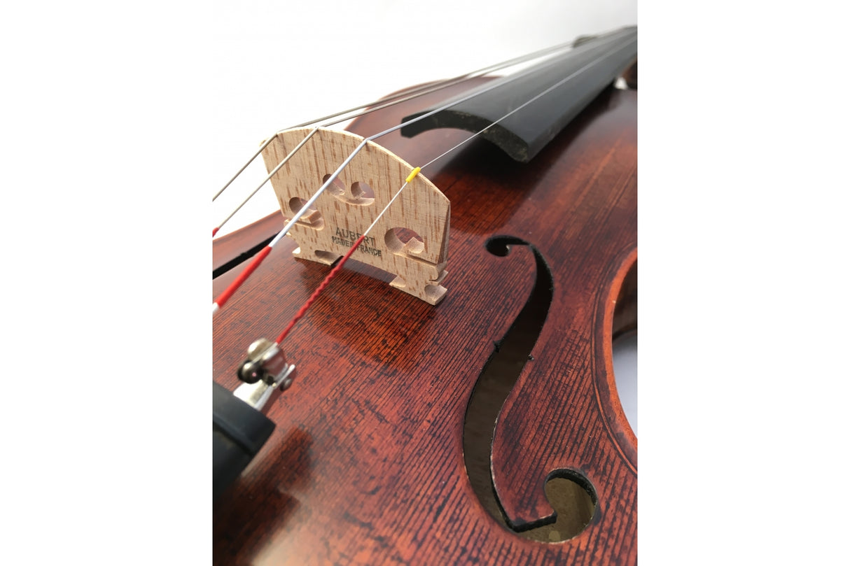 Stentor Violin Messina 3/4 Full Outfit