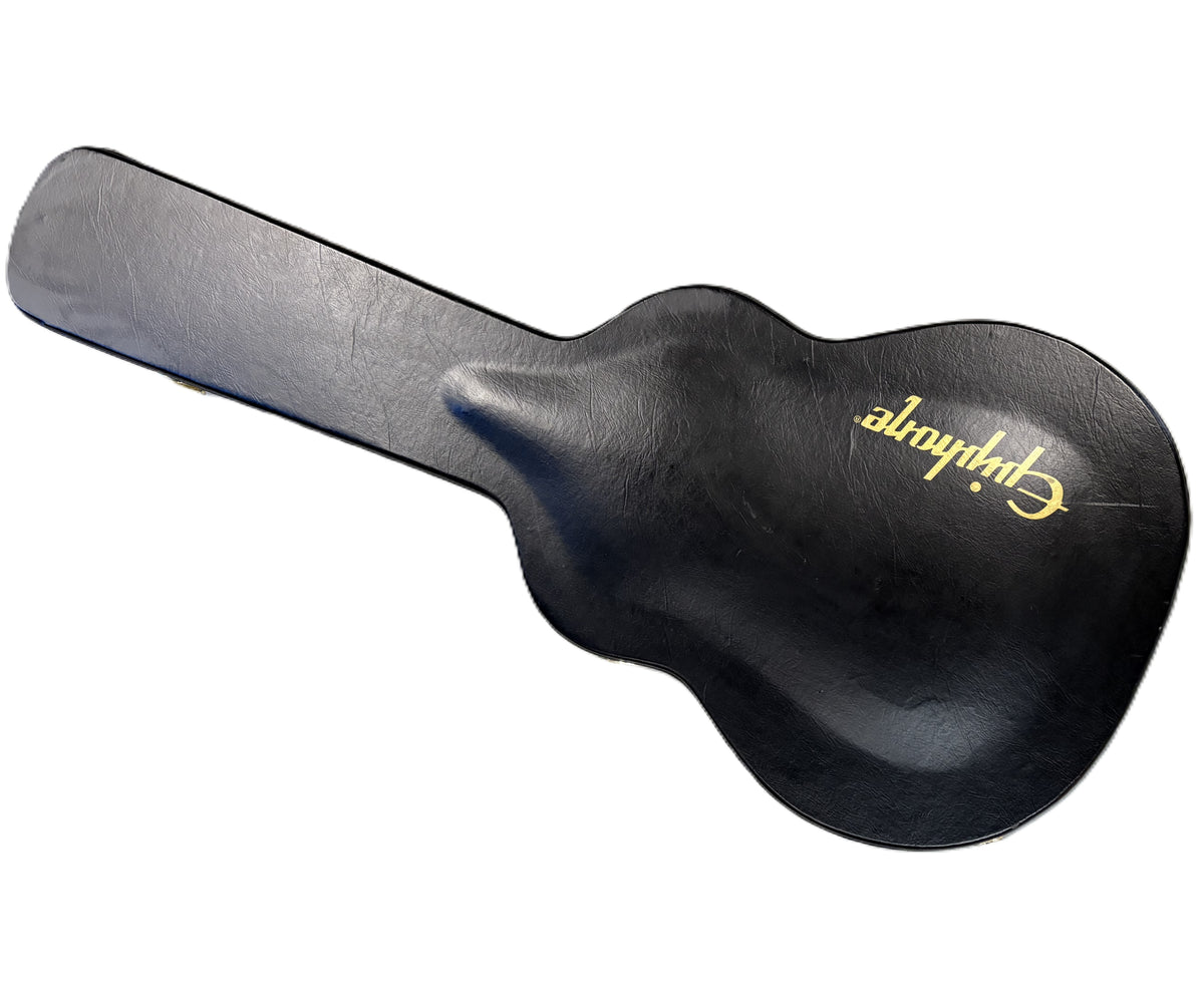Epiphone Dreadnought Hardcase