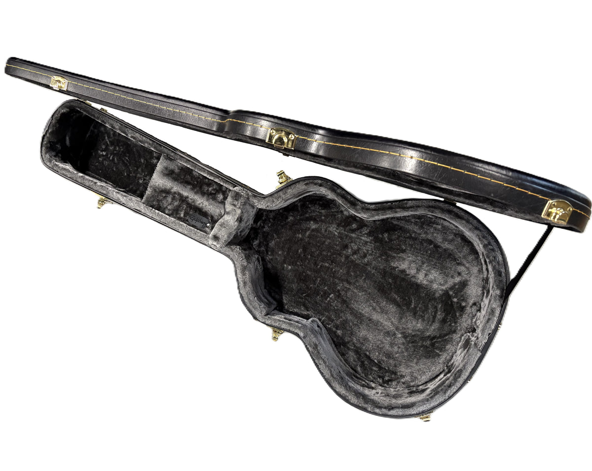 Epiphone Dreadnought Hardcase