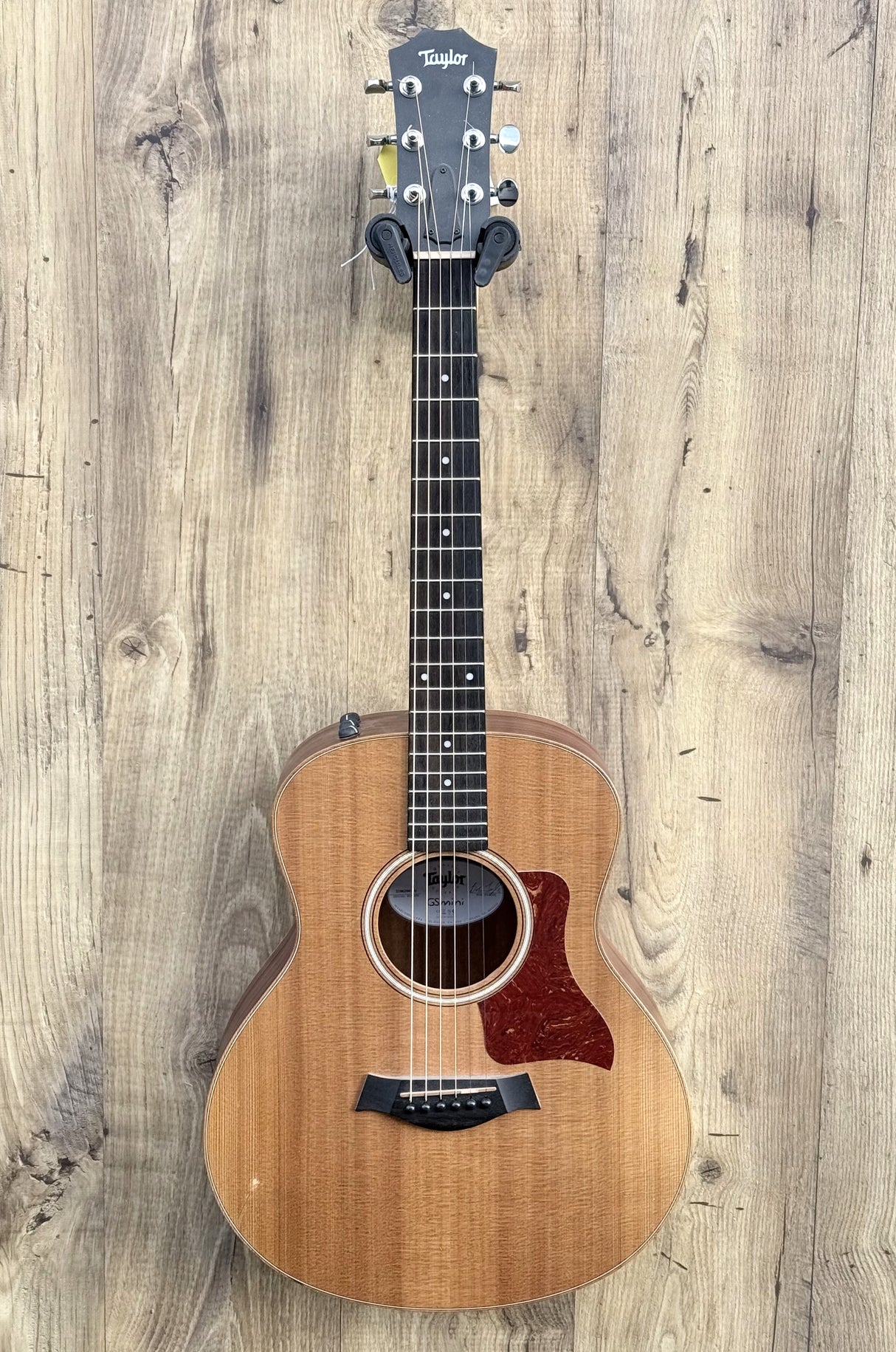 Taylor GS Mini-e 2014