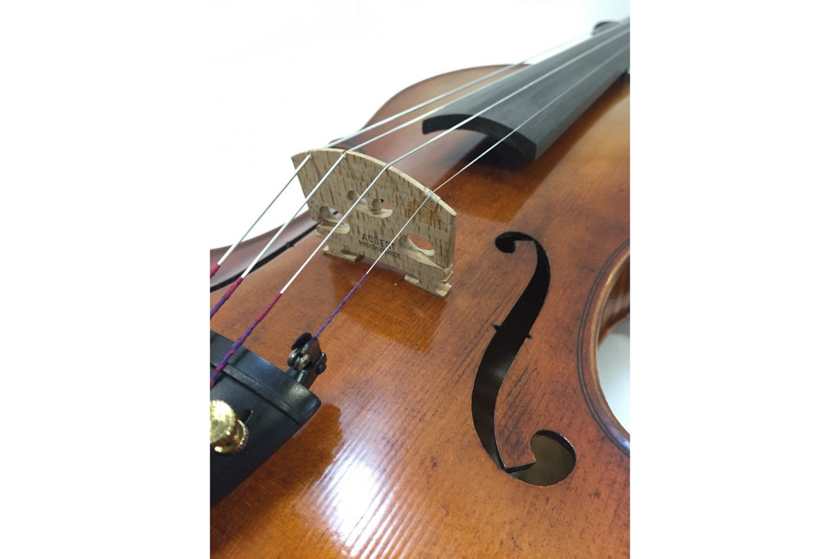 Hidersine Venezia Violin 3/4