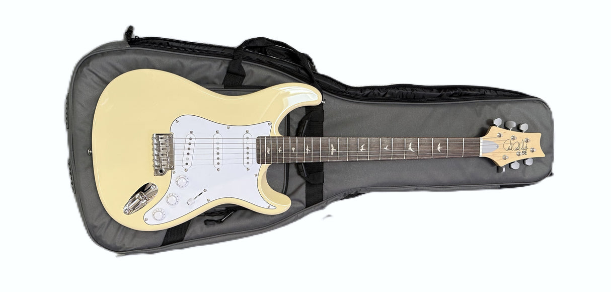 PRS SE Silver Sky Moon White 2024