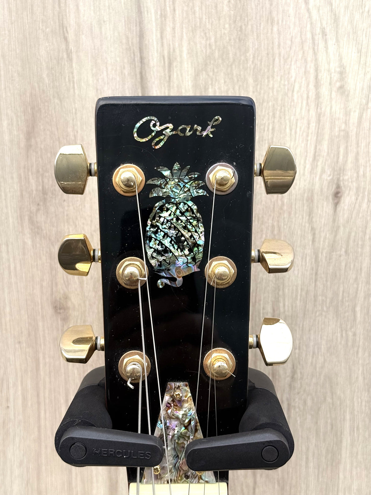 Ozark 3515BTE Thinline Metal Resonator Engraved