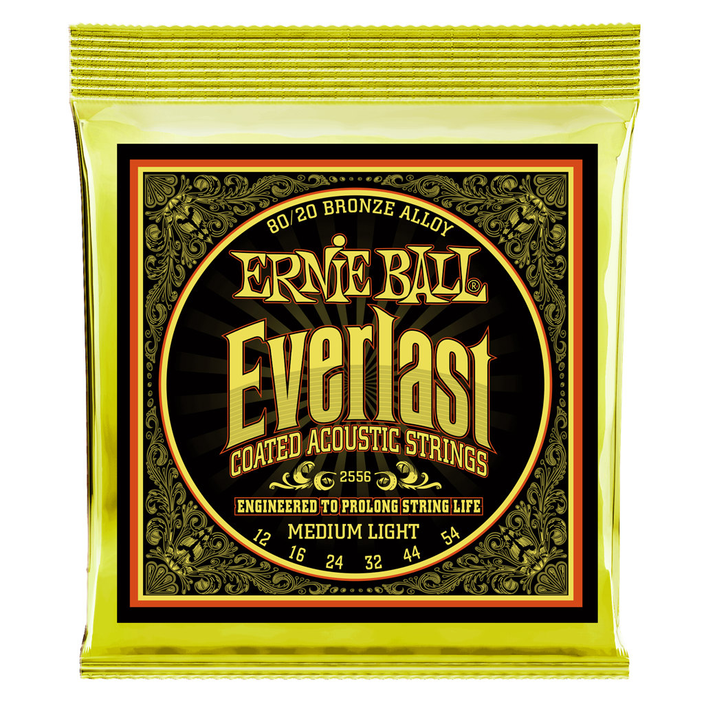 Ernie Ball Everlast Coated Medium / Light 12-54