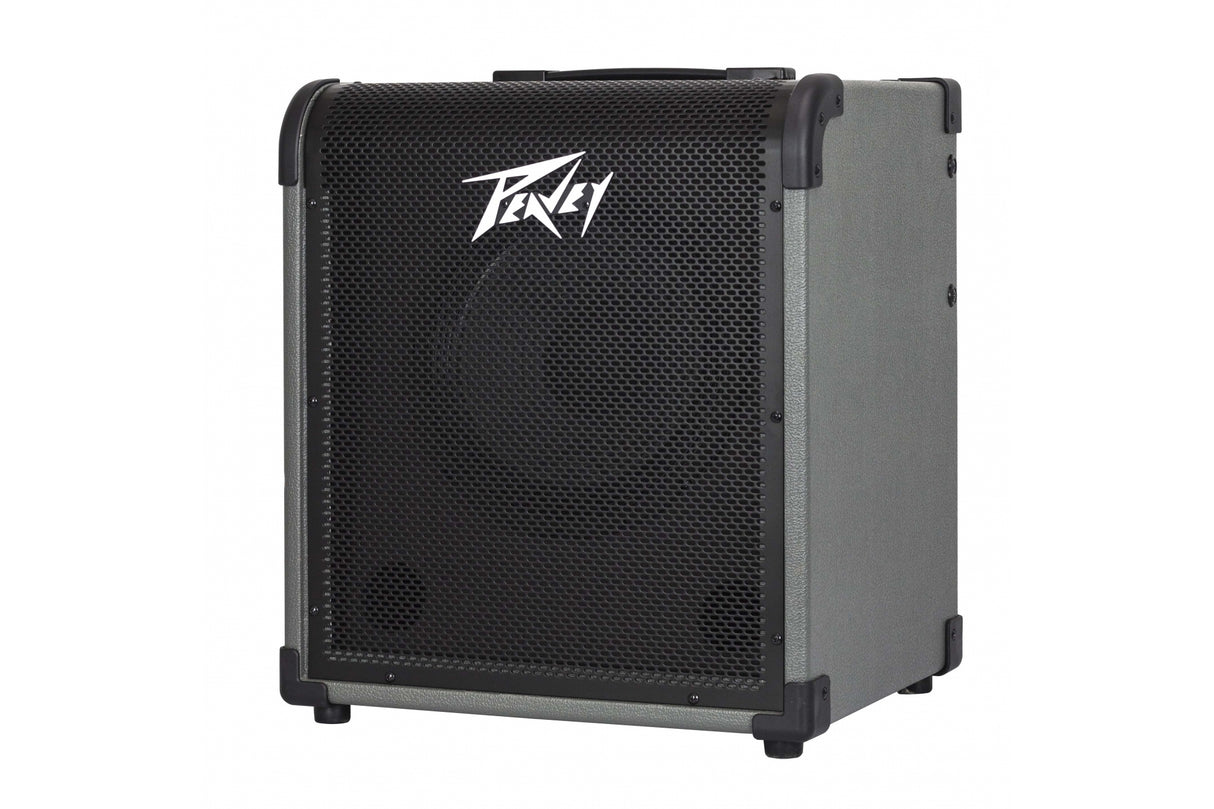 Peavey Max 100 Bass Combo