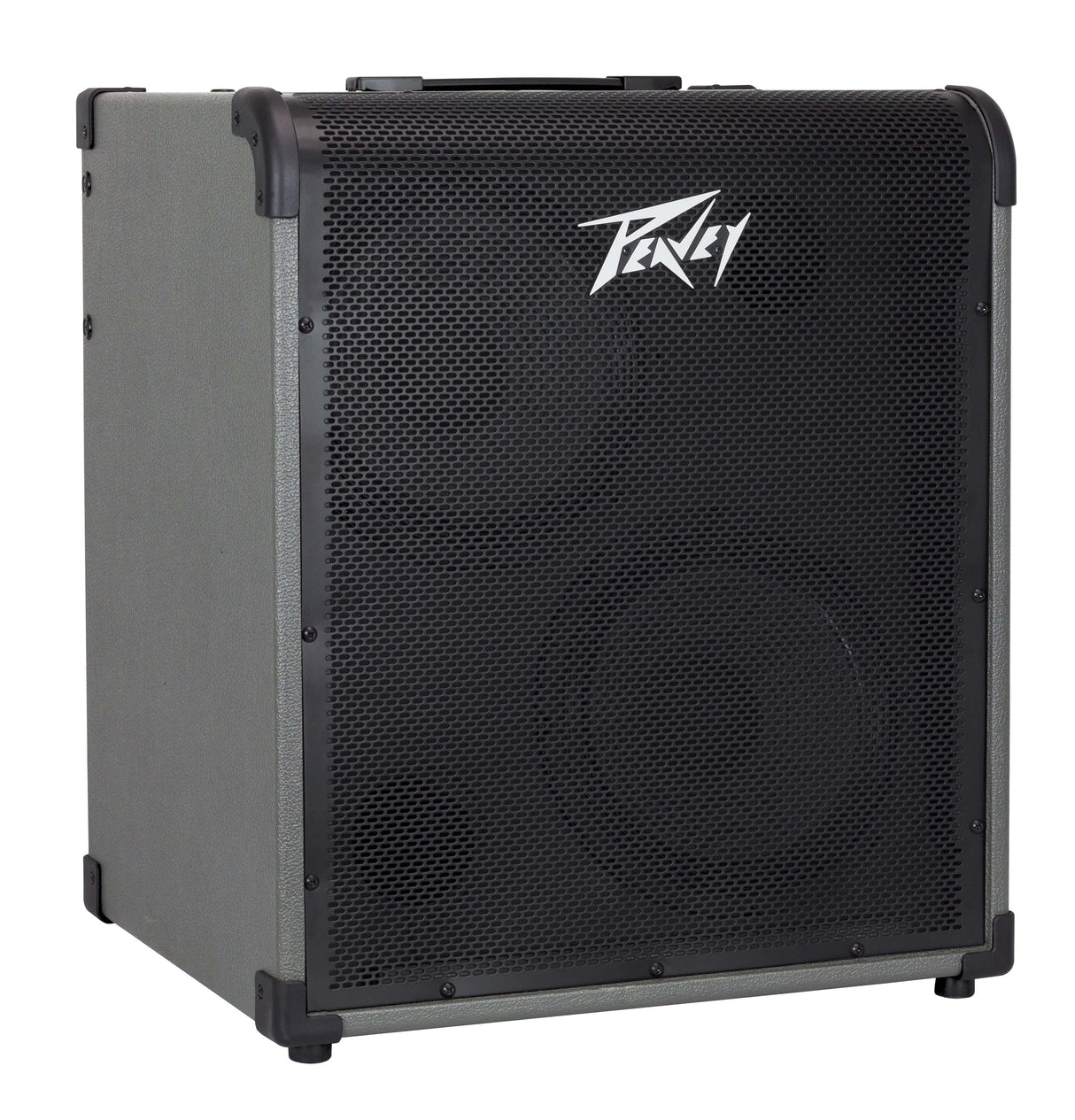 Peavey Max 300 Bass Combo