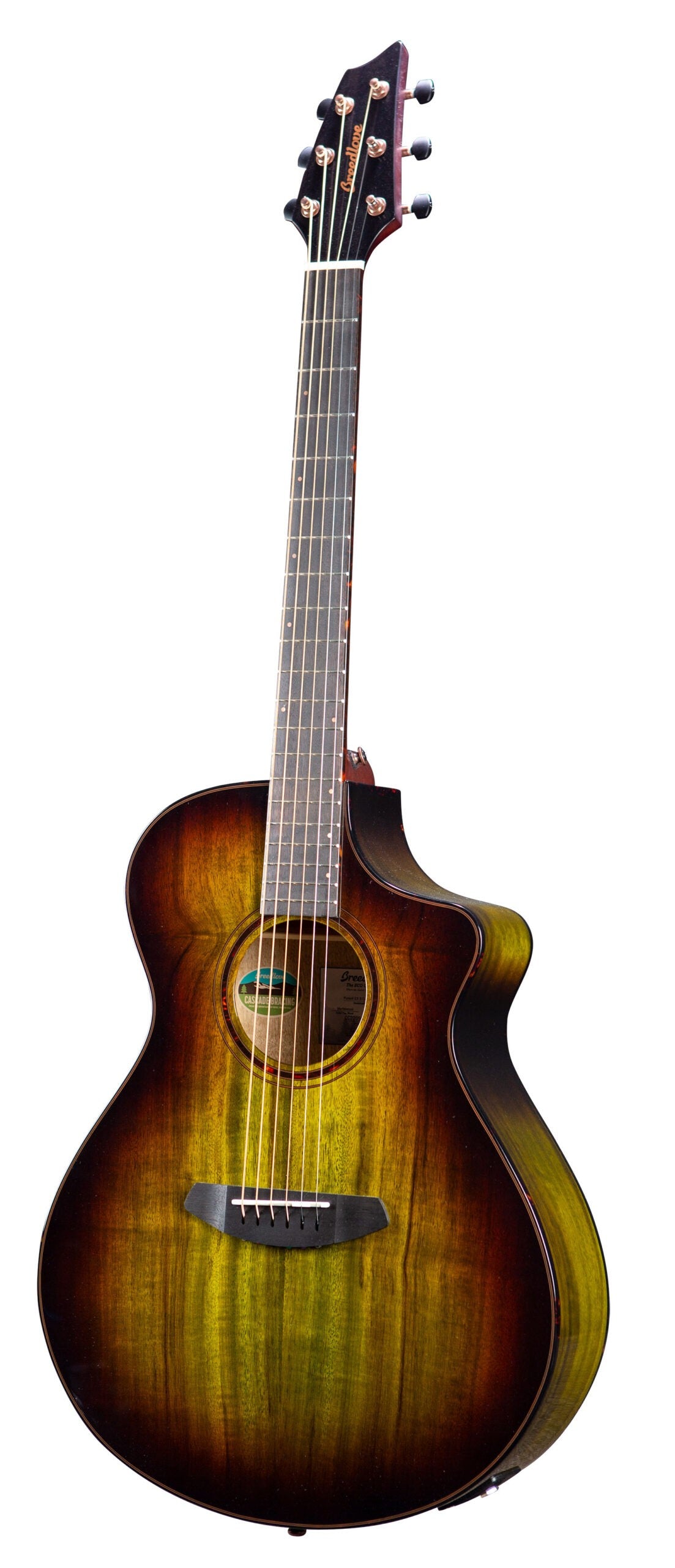 Breedlove ECO Pursuit Exotic S Concert Earthsong CE - Myrtlewood