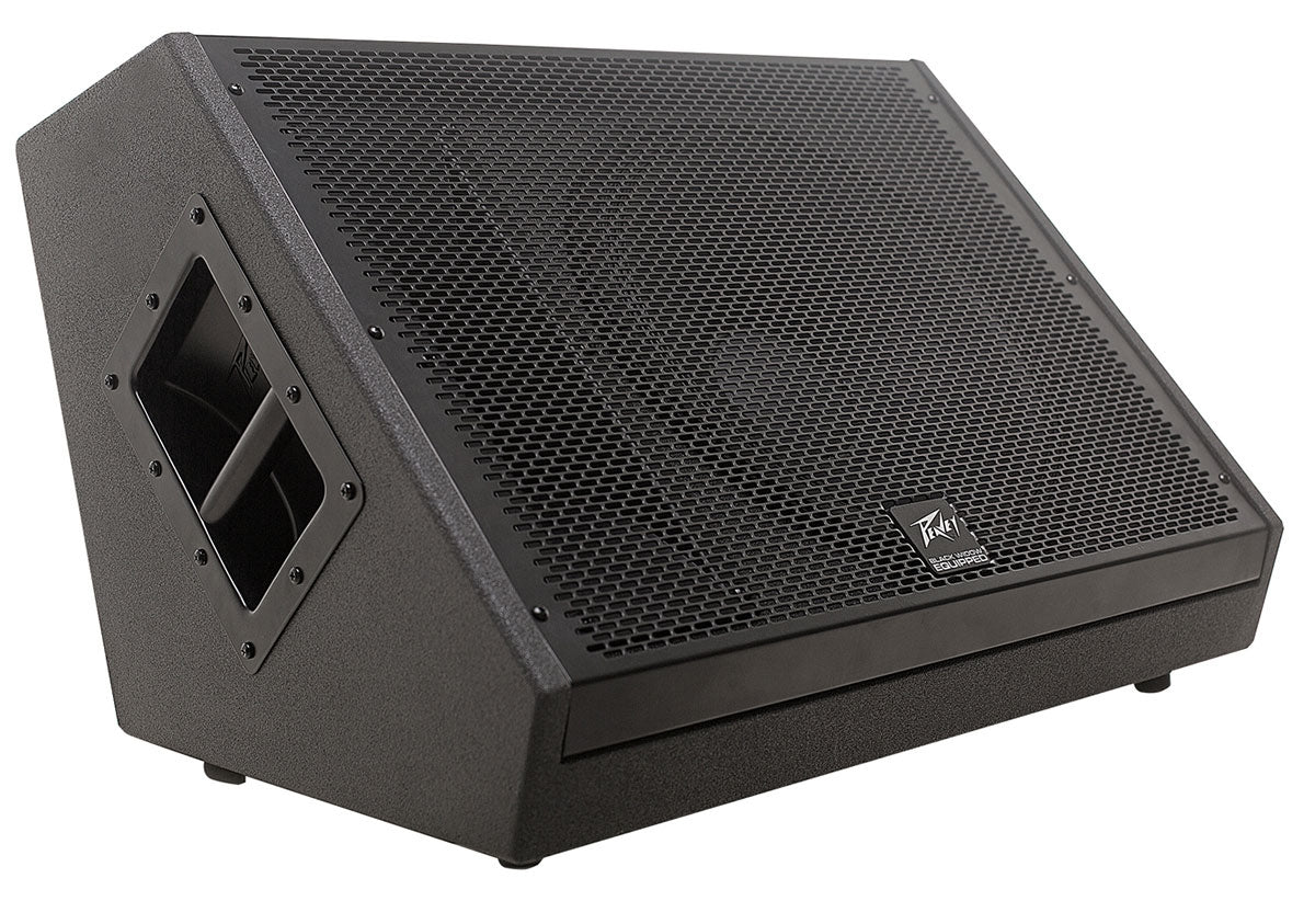 Peavey SP Series SP15M Monitor