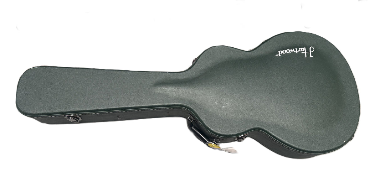 Richwood Semi-Acoustic Hard Case -Green