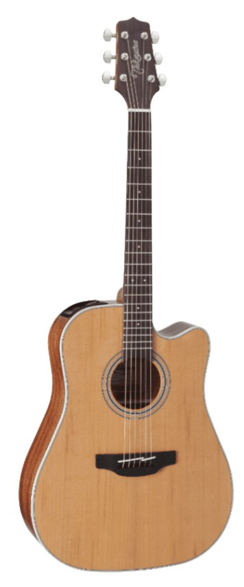 Takamine GD20CE-NS Natural